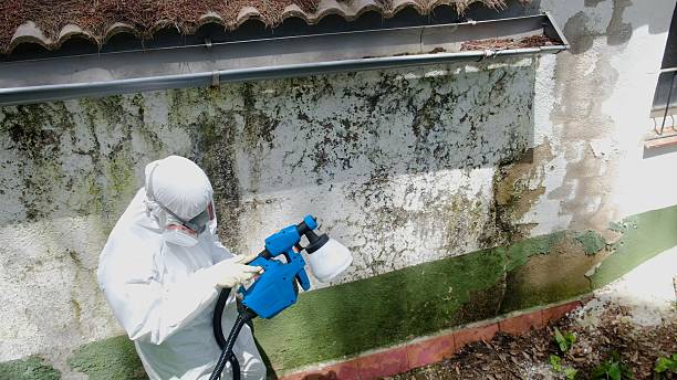 Top rated local Commercial Mold Remediation specialists in Waterford, VA